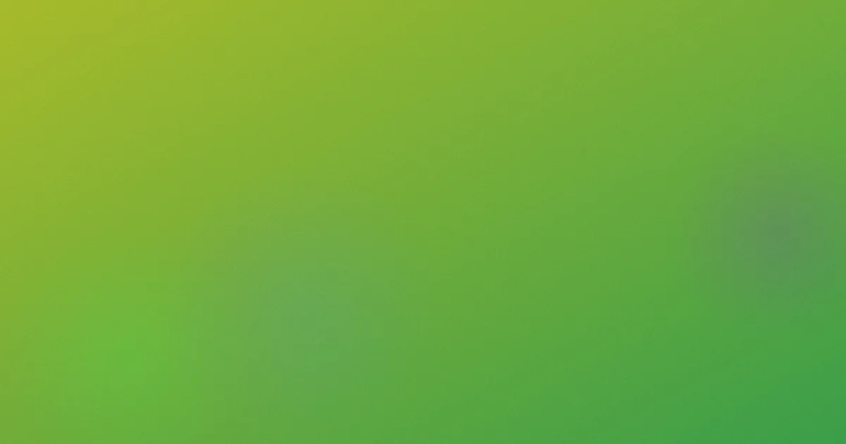 556测评：新手别踩这7个坑